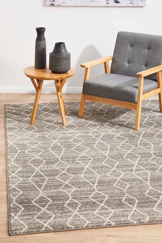 Evoke Remy Silver Transitional Rug - Click Rugs